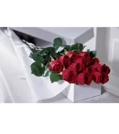 One Dozen Red Roses in a Box Delivery to Philippines