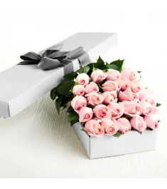 2 Dozen Light Pink Roses in a Box Delivery to Philippines