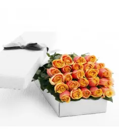 Two Dozen Orange Blend Roses in a Box Online Order to Philippines