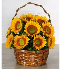 12 sunflowers tin basket to philippines