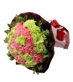 33 Green and Pink Carnations