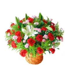 36 Red Carnations and 2 Perfume White lilies