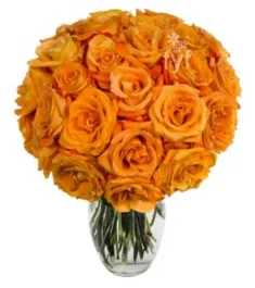 24 Orange Roses Send to Philippines