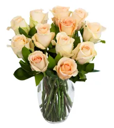 Peach Color Roses in a vase