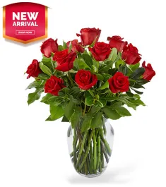 Premium Dozen Red Roses Send to Philippines,Roses to Philippines