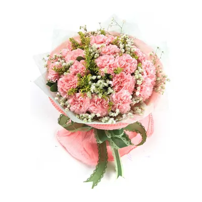 17 Pink Carnations with Baby's Breath