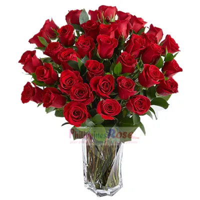 36 Red Roses Send to Philippines